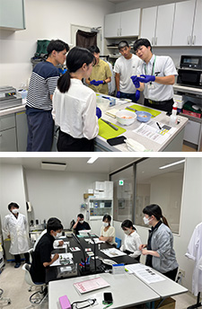 ビージョイのインターンシップ